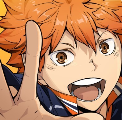 HAIKYU!! FLY HIGH