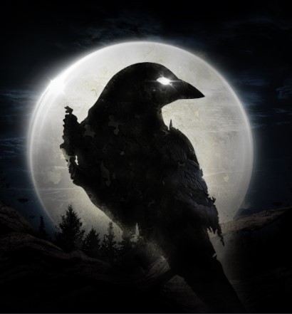 Night Crows