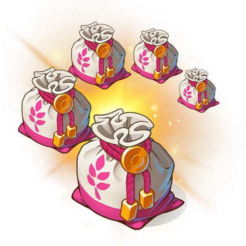 5 Tohum Torbası