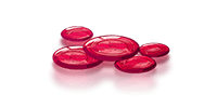 Blue Protocol - 300+30 Rose Gems