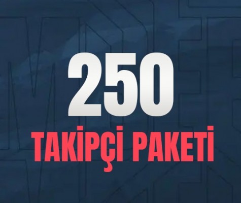 Spotify 250 Follower