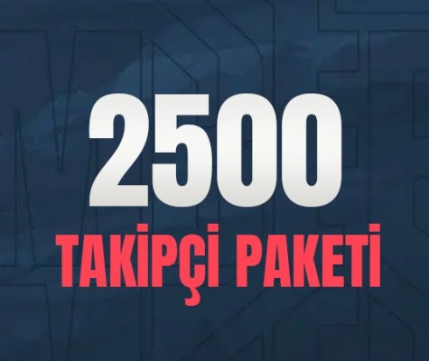 Spotify 2500 Follower