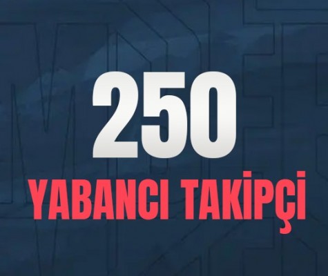 TikTok 250 Takipçi