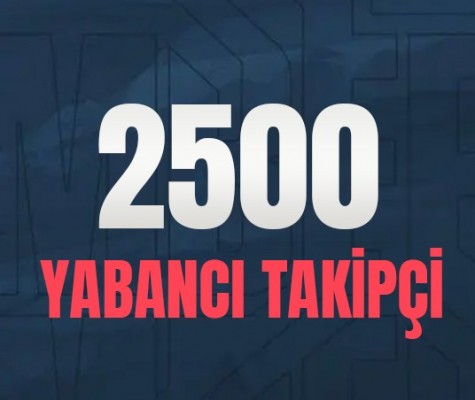 TikTok 2500 Takipçi