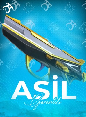 Valorant Asil Garantili Hesap