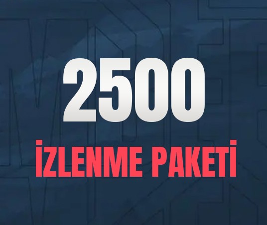 YouTube 2.500 İzlenme
