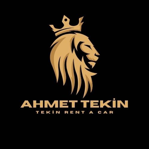 ahmettekin01