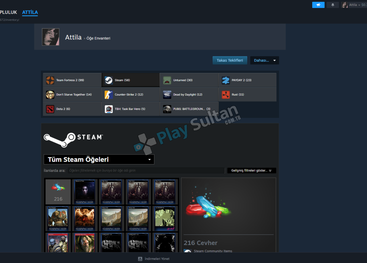 70 Level 150+ Oyun Bol A+ Oyunlu Steam Hesabı Resim 2