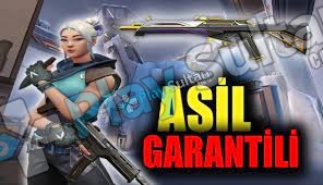 ASİL VANDAL GARANTİLİ RANDOM HESAPLAR 30-100 SKİN ASİL VANDAL GARANTİLİ RANDOM HESAPLAR 30-100 SKİN