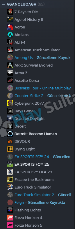 FULL + FULL CS PRIME STEAM HESABI Resim 2