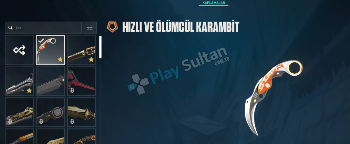 skinli hesap Resim 2