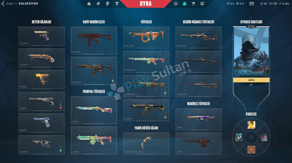 skinli hesap Resim 2