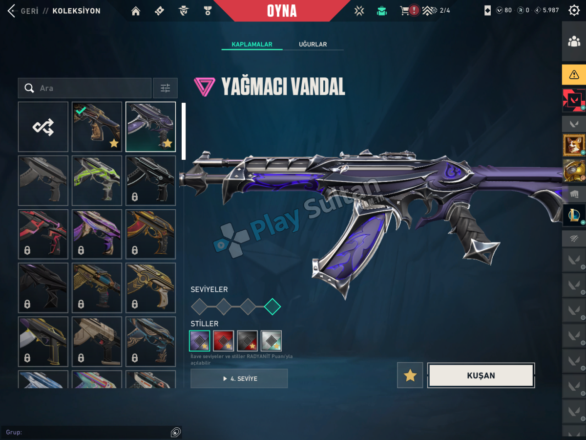 skinli mailli gold hesap Resim 2