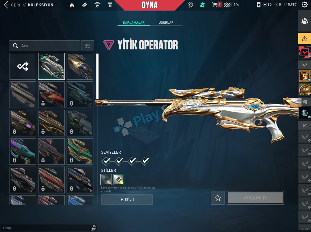 skinli mailli gold hesap Resim 2