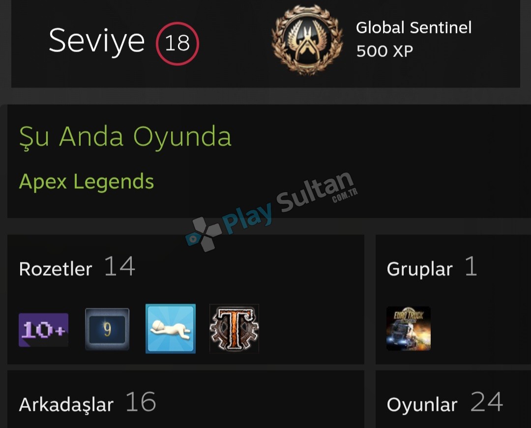 Steam hesap +100 dolar Resim 2