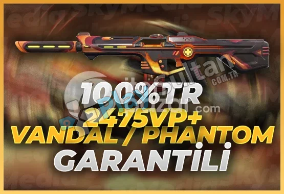 100TR 2475VP GARANTİLİ VANDALPHANTOM HESAP