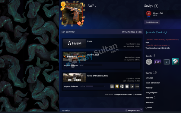 15 oyunlu steam hesabı ücretsiz oyunlar harici paralı oyunları aşşagı yazdım