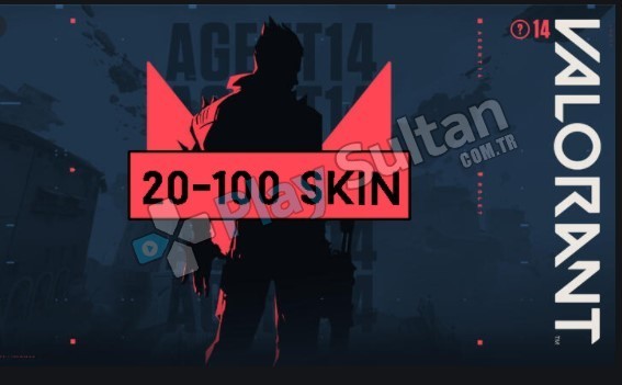 20-120 SKİN GARANTİLİ VİP RANDOM HESAPLAR