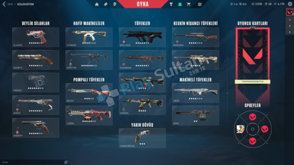 22 BIÇAKLI 25 VANDALLI 23 PHANTOM SKİNLİ HESAP GARANTİLİ İMMORTAL HESAP