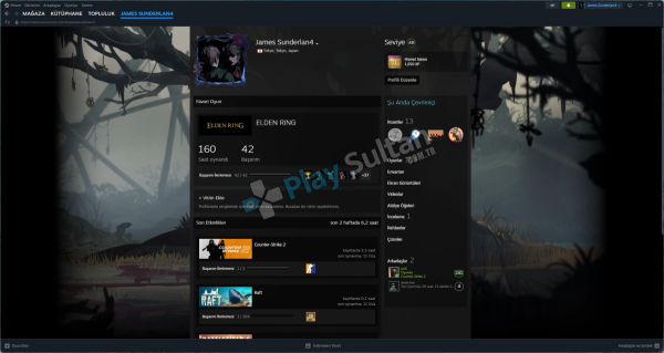 22 YILLIK STEAM HESABI 180 CİVARI CİDDİ SAĞLAM OYUN