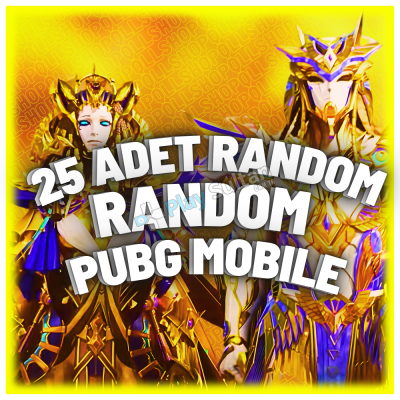 25 ADET RANDOM PUBGM HESAP