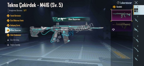 5 seviye tekno m4 lü hesap