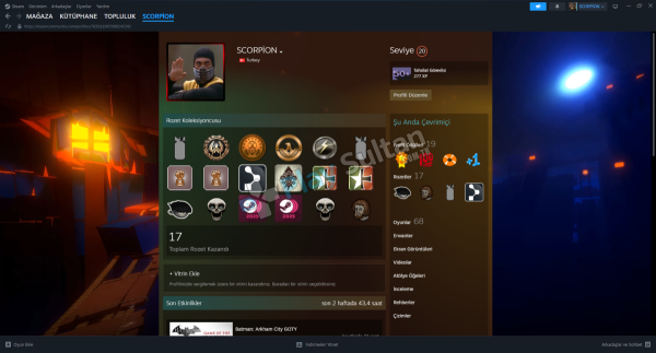 68 oyunlu 20 lvl steam hesabı