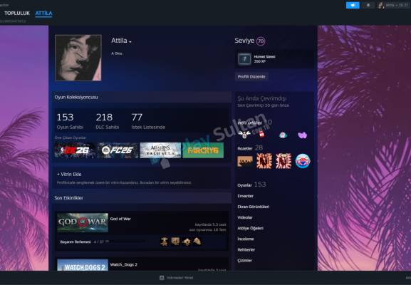 70 Level 150+ Oyun Bol A+ Oyunlu Steam Hesabı