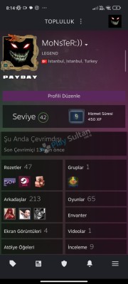 +9 yıllık hesap cs2 +oyun