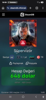 9 Yıllık Steam Hesabı 66 Seviye