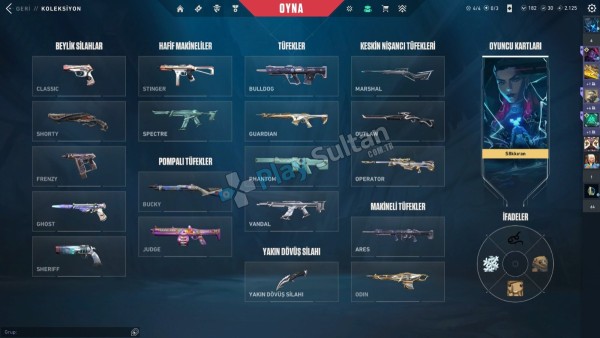 Ana hesabım mail vardır plat 1 her silahta skin vardır