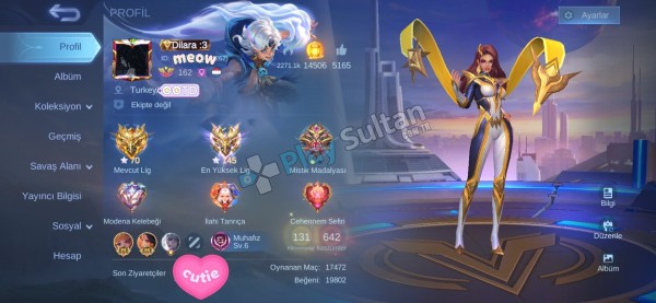 Destek main