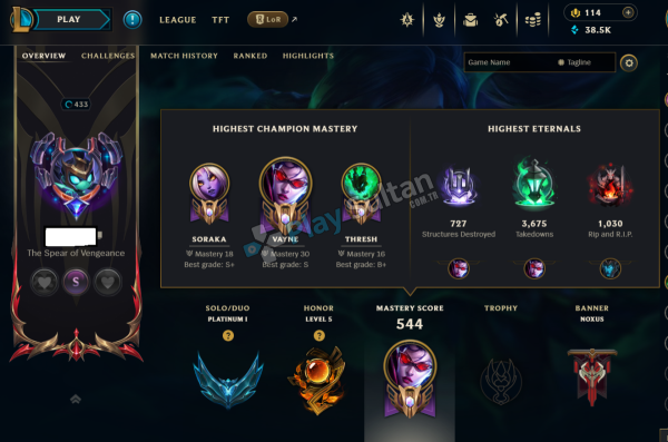 EUW RUH SÖMÜREN VAYNE PLAT 1