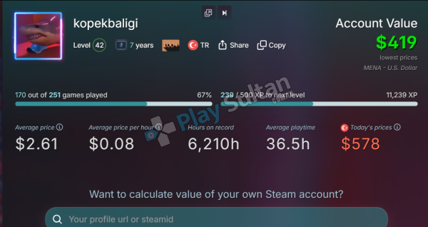 FULL + FULL CS PRIME STEAM HESABI