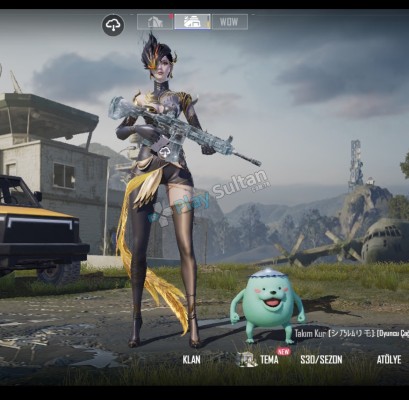 PUBG MOBİLE BUZ VE UMP KANLI 4 seviye ikiside