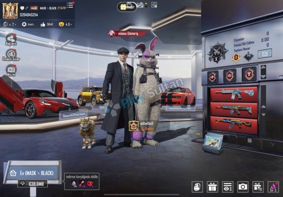 Pubg mobile emek hesapidir