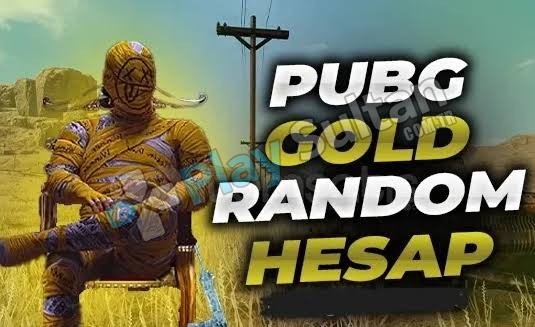 Pugb random hesap Gold