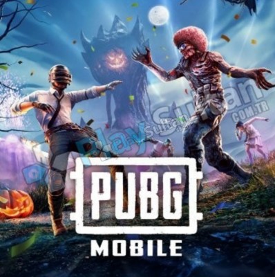 Random pubg hesap