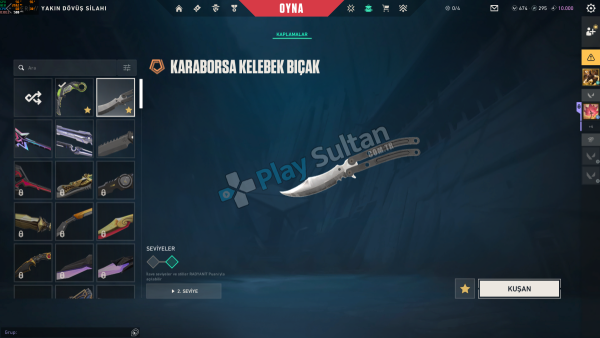 Rgx Karambit + Karaborsa Kelebek + VCT26 X NAVI Classic I TR HESAP