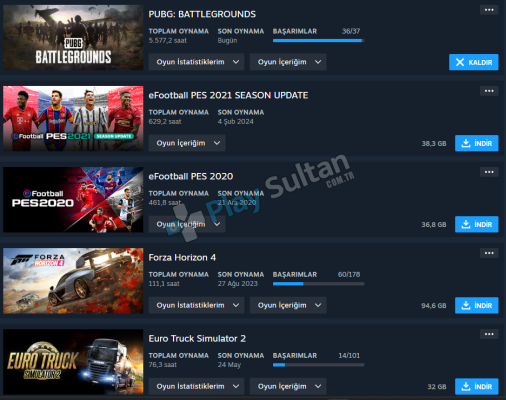 Steam 23 Kalıcı Oyun