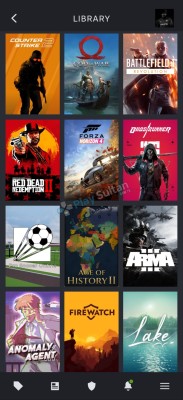 STEAM DEGERLİ HESAP UYGUNA VERİLCEK
