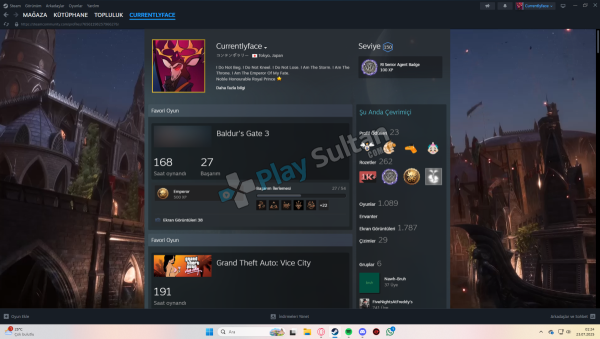 Steam Hesabı KALICI OLARAK SATILIK SADECE CİDDİ TEKLİFLER