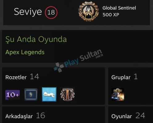 Steam hesap +100 dolar