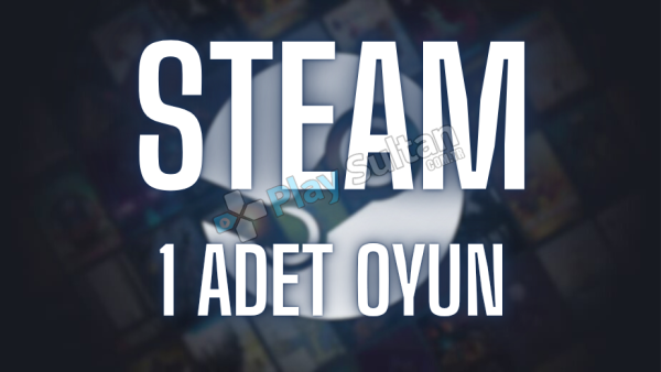 Steam istediğiniz 1 Oyun+Garanti