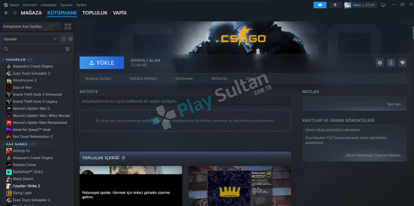 Steam Ömürlük Dolu AAA Hesap
