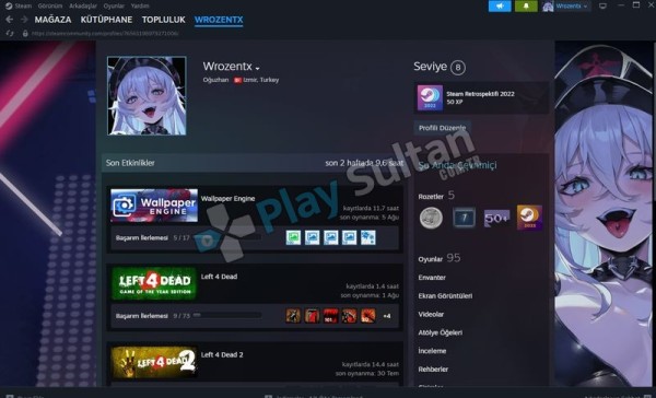 Toplam Kütüphane Değeri 2250 USD