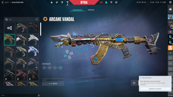 TR SUNUCULU TEK MAİLLİ HESAP ARCANE VANDALLI