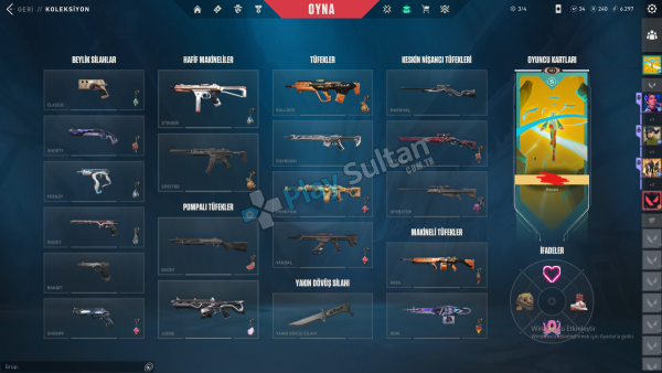 V25 İMMO DOLU MAİNLEMELİK HESAP