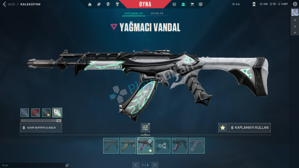 Valorant Yağmacı Yıldız Belası Vandal Alaz Yelpaze Oni Katana Özel Kelebek