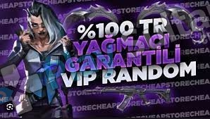 YAĞMACI VANDAL GARANTİLİ HESAPLAR